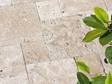 Travertijnplaat Medium close-up met planten