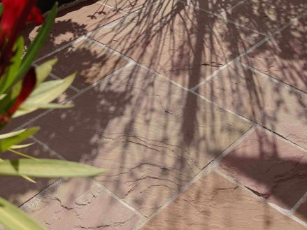 Modak platen, terras met plant op de voorgrond