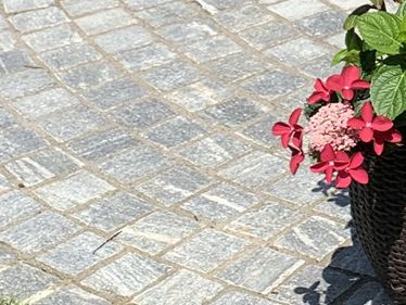Galerij 1: Straatstenen Gneis Urban Grey Line in het groen met bloemen