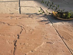 Modak platen met decoratieve kom, bessen en sten