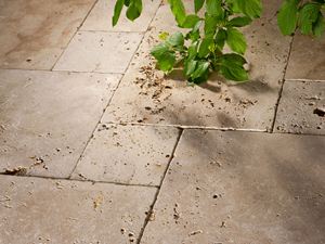 Rustieke platen van getrommeld travertijn, een groene tak steekt van bovenaf in het beeld