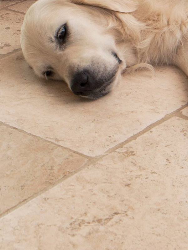 Hond ligt ontspannen op lichtgekleurde travertin tegels