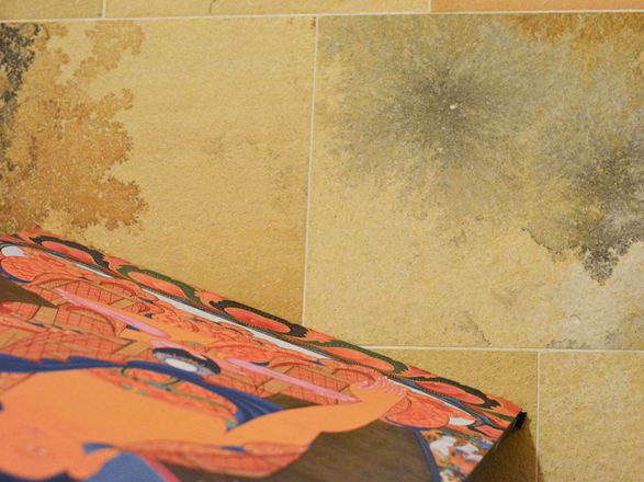 Close-up van kalksteen uit Solnhofen met fascinerende insluitsels