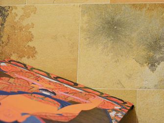 Close-up van kalksteen uit Solnhofen met fascinerende insluitsels