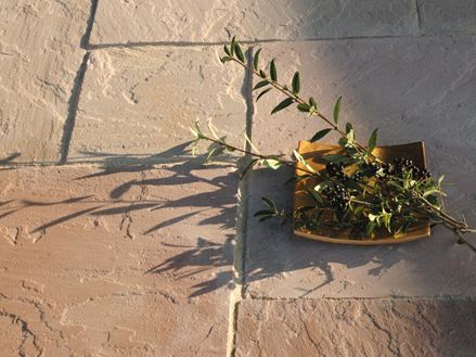 Modak platen met decoratieve kom, bessen en sten