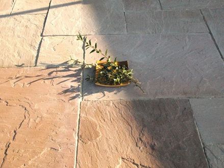 Platen Zandsteen Modak split groot