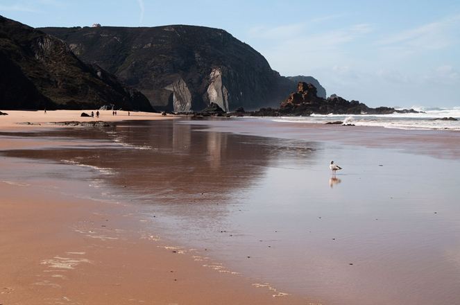 Een speciale natuursteen zijn naam geven: Leisteenrotsen op een strand in Portugal